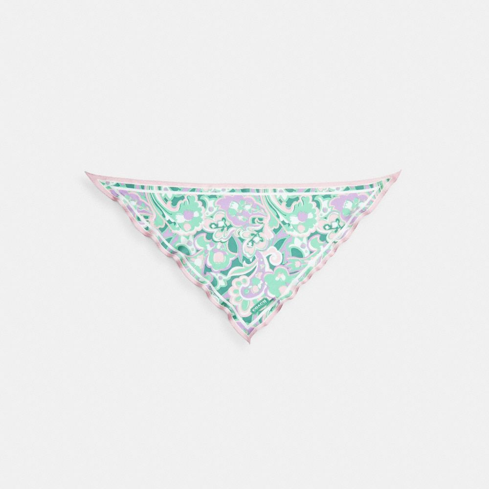 Coach Andrea Paisley Print Silk Triangle Scarf In Multi