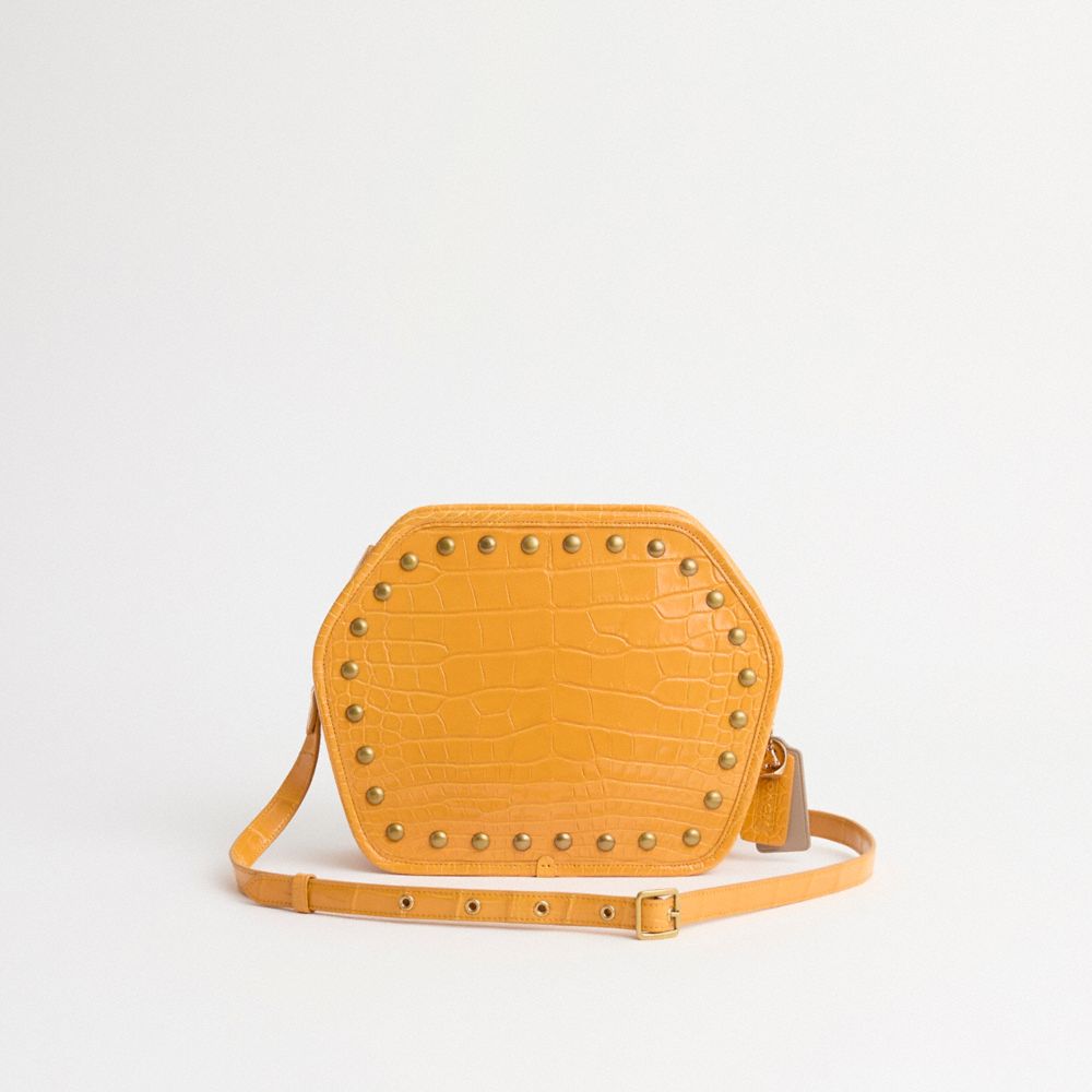 Coach Upcrafted Zip Geometric Pouch In Alligator In Brass/yellow