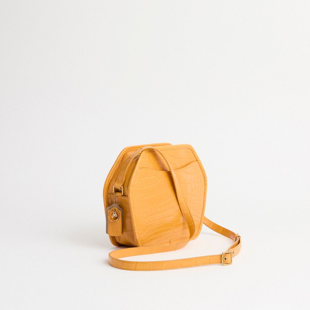 Coach Upcrafted Zip Geometric Pouch In Alligator In Brass/yellow