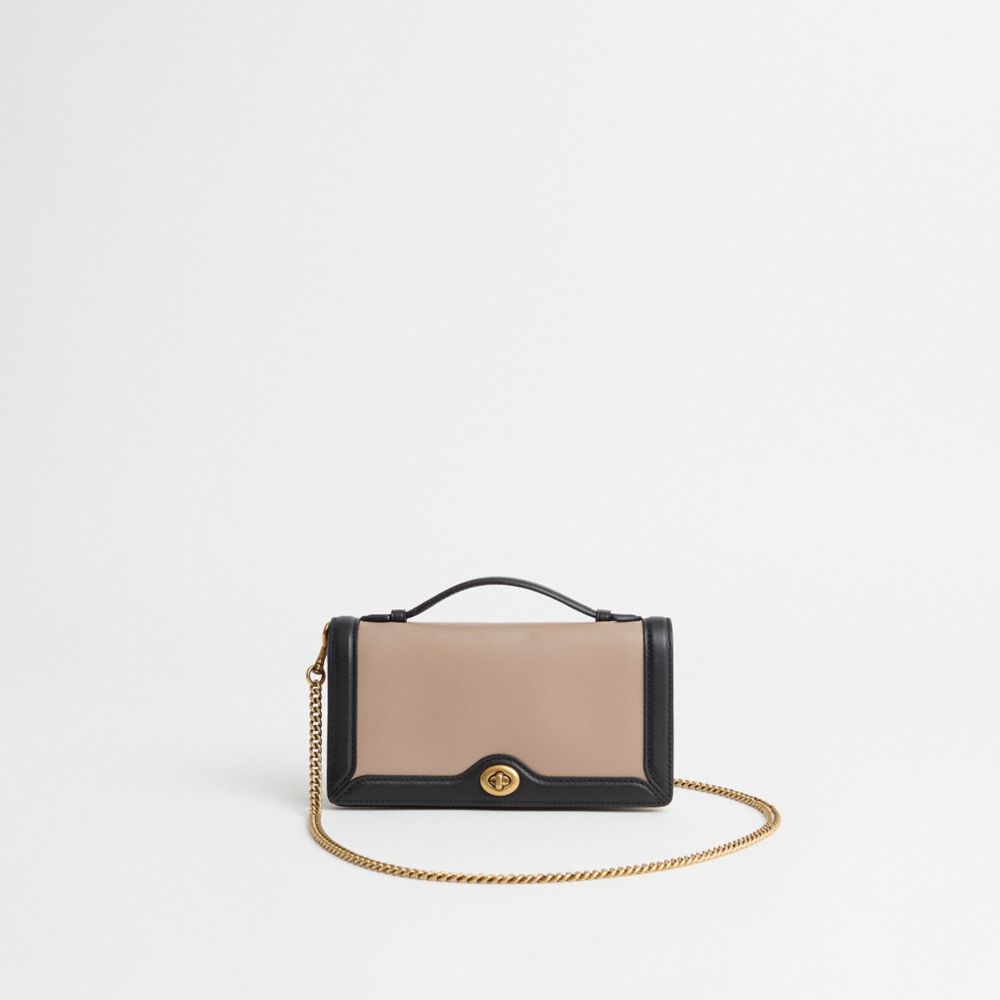 Brass Stone Multi Restored Riley Chain Clutch In Colorblock