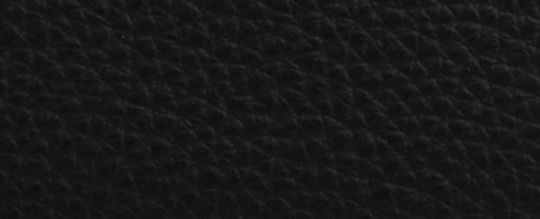 COACH®,Nolita 19,Leather,Pouch,Wristlet,Metal,Logo,Gold Metal,Casual,Black,Front View