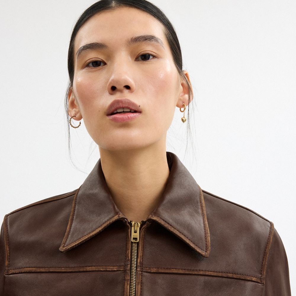 COACH®,Shrunken Leather Aviator Jacket,Cowhide,Leather,Day Party,Brown,Detail View