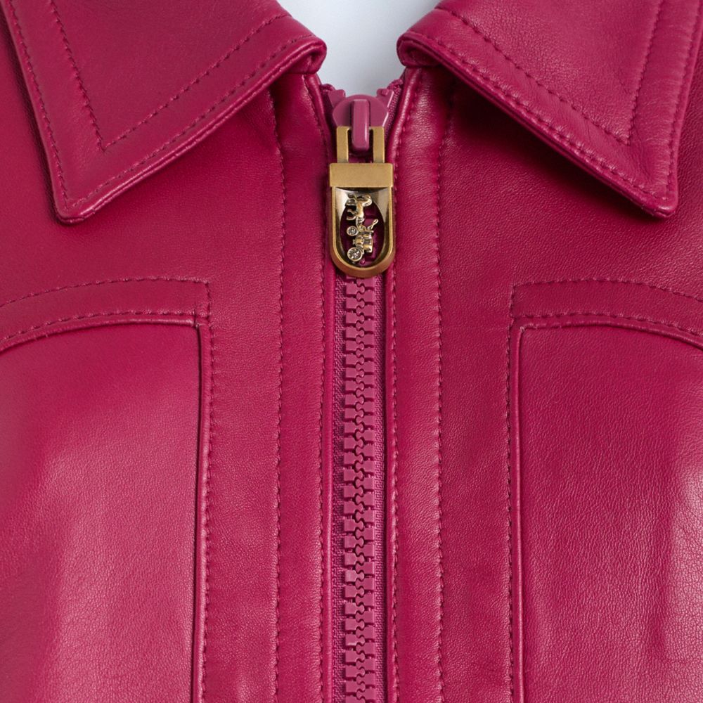 COACH®,Restored Cropped Leather Blouson Jacket,Leather,Leather,Logo,Casual,Fuchsia,Scale View