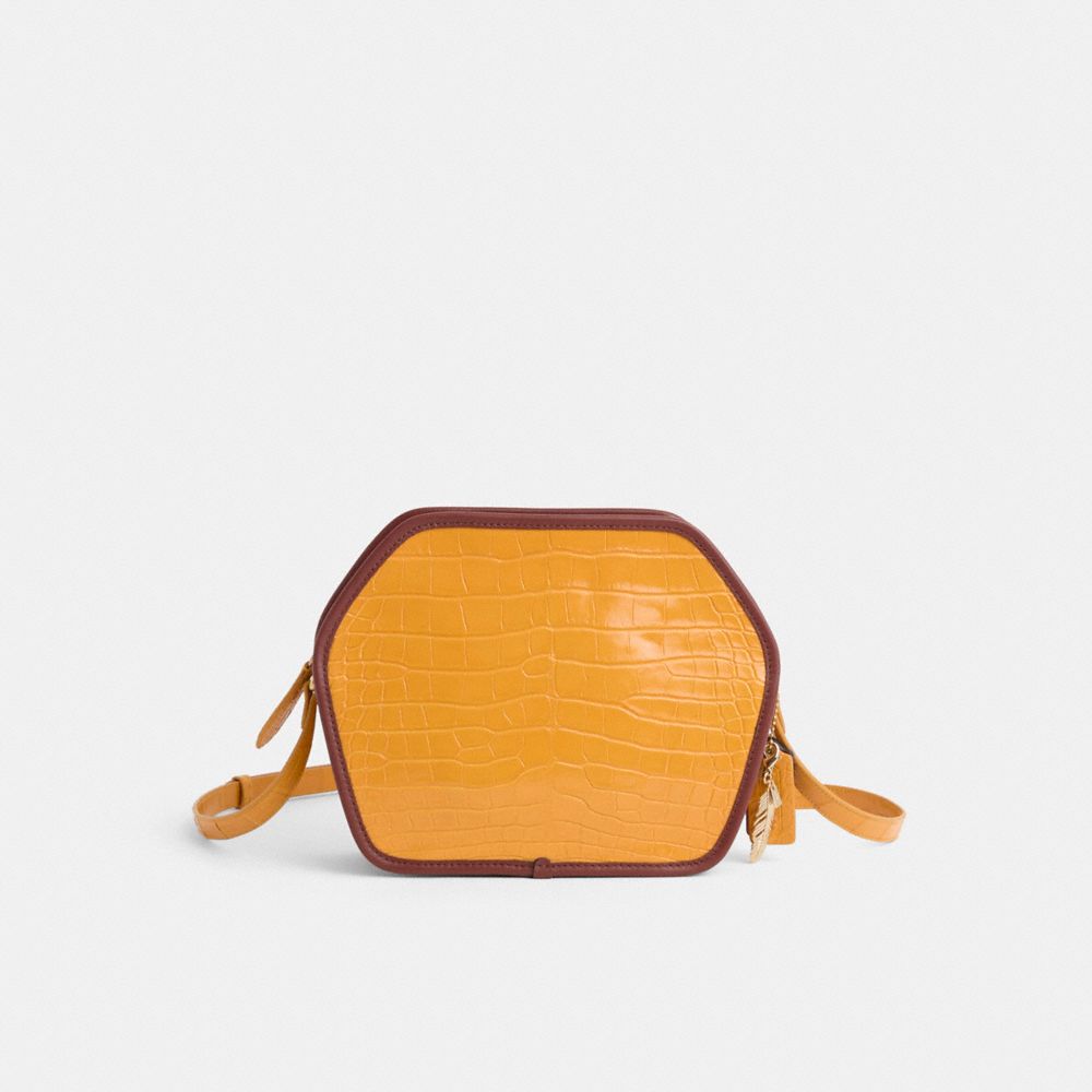 Shop Coach Upcrafted Zip Geometric Pouch In Alligator In Brass/yellow