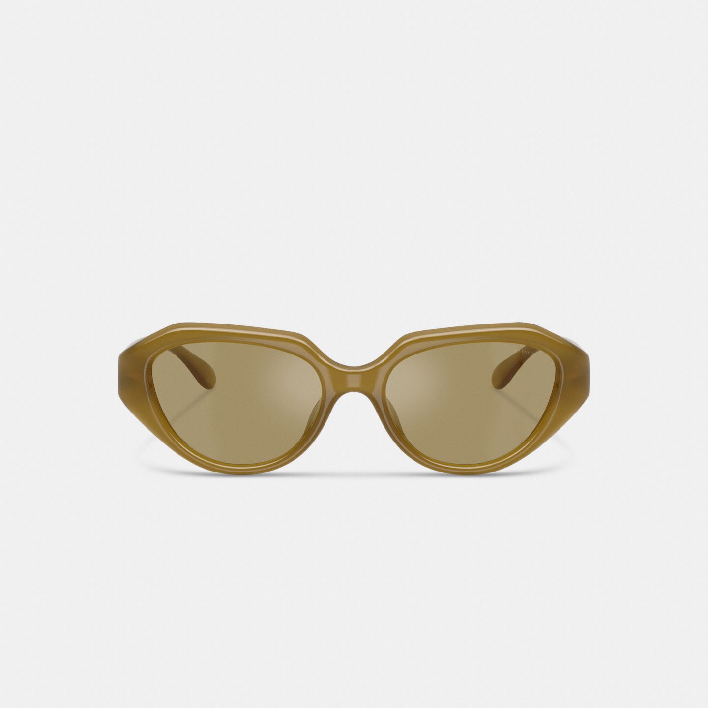 Солнцезащитные очки Coach C Hardware Geometric Sunglasses, цвет: Светлый оливковый — фото 2