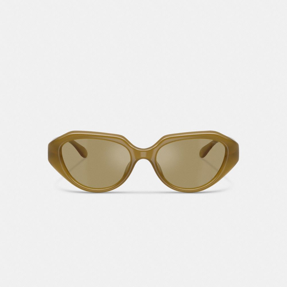 Coach C Hardware Geometric Sunglasses In Green