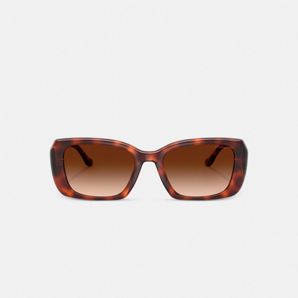 COACH®,Maxi Sculpted C Oversized Rectangle Sunglasses,Brown,Inside View,Top View