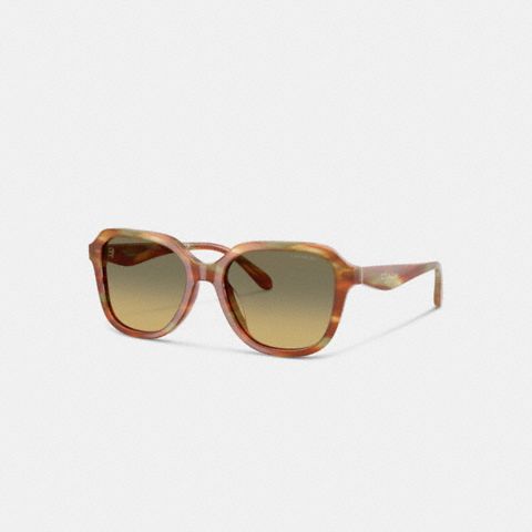 Coach Oval Square Sunglasses
