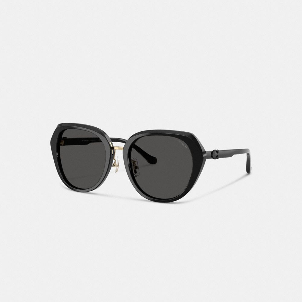Coach Maxi Sculpted C Oversized Round Sunglasses In Black
