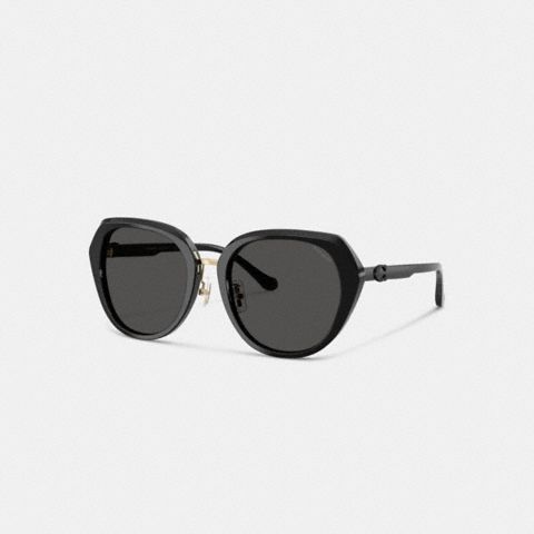Coach Maxi Sculpted C Oversized Round Sunglasses