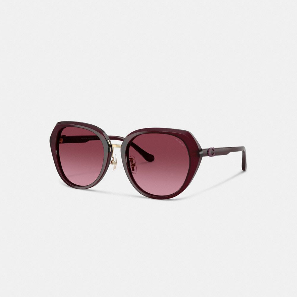 Coach Maxi Sculpted C Oversized Round Sunglasses In Brown