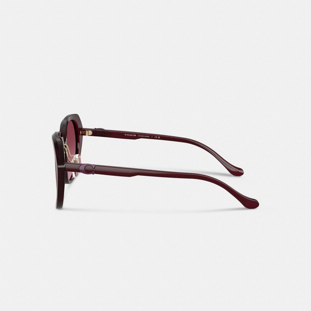 Coach Maxi Sculpted C Oversized Round Sunglasses In Brown