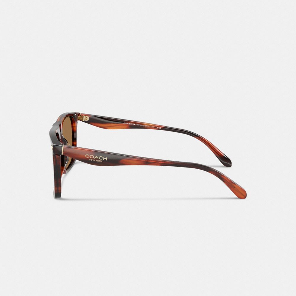 Coach Flat Top Square Sunglasses In Brown