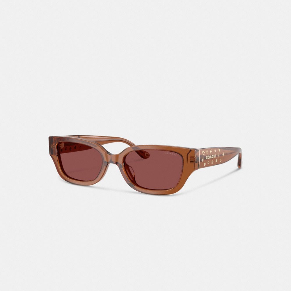 Coach Charms Narrow Rectangle Sunglasses In Brown