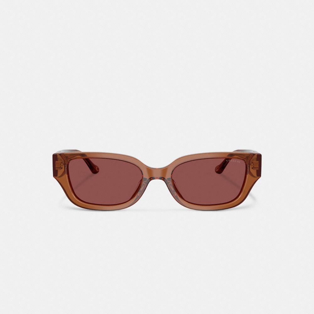 Coach Charms Narrow Rectangle Sunglasses In Brown