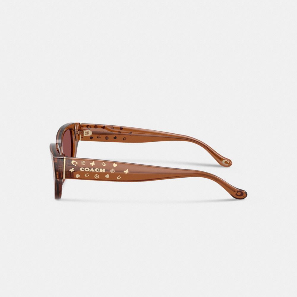 Coach Charms Narrow Rectangle Sunglasses In Brown