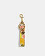 COACH®,LOOP BAG CHARM WITH FLORAL PRINT,Glovetanned Leather,Brass/Multi,Front View