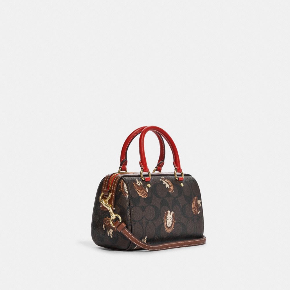 coach hedgehog bag