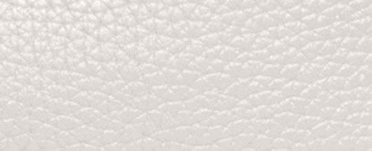 COACH®,SAC À PORTÉ-CROISÉ CARY,Cuir galet,Laiton/Craie,Front View