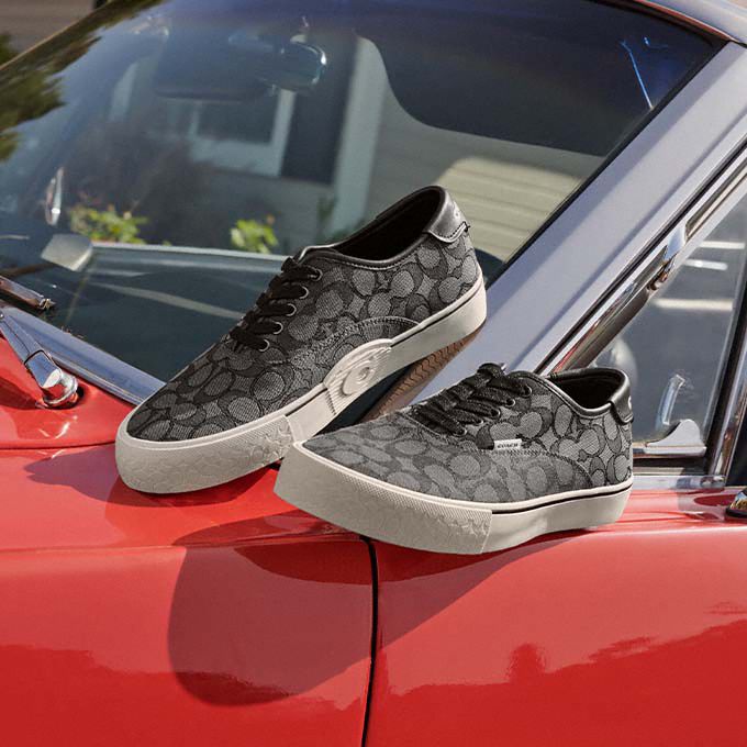 COACH®  Skate Lace Up Sneaker In Signature Jacquard