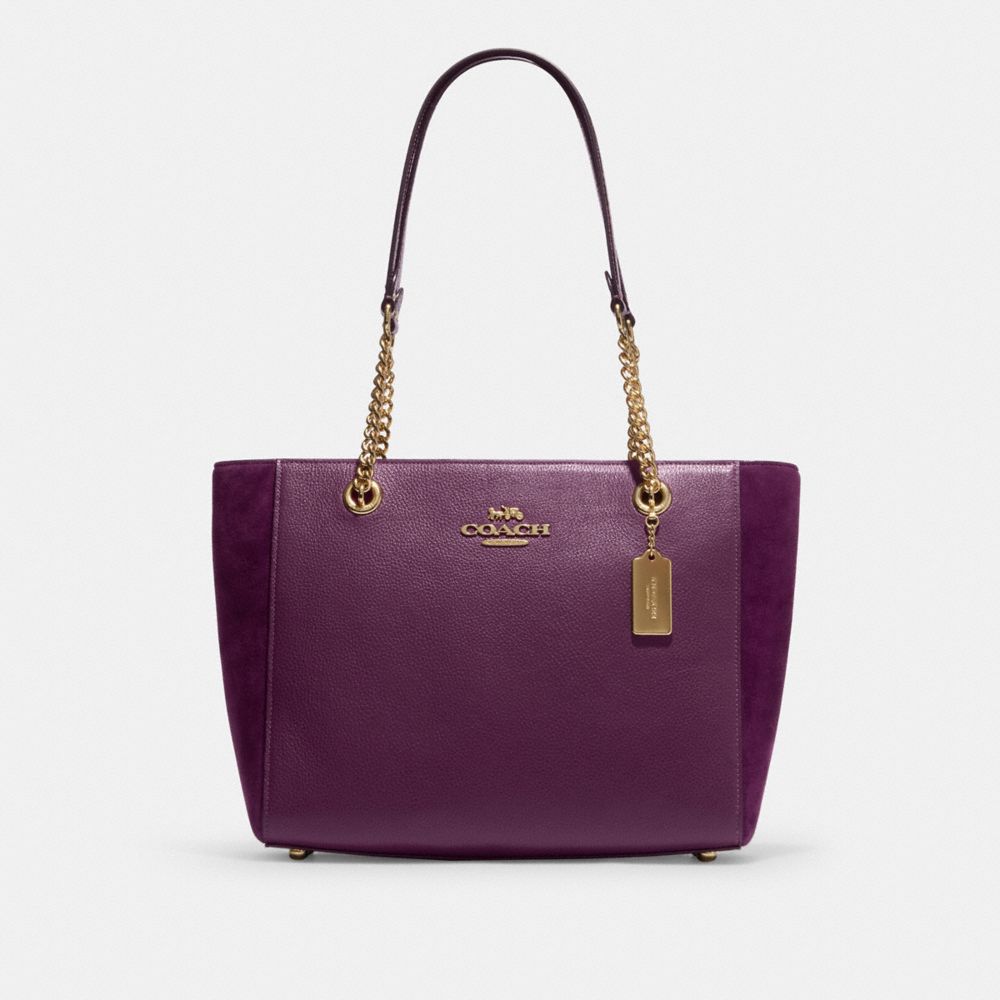 coach bag with extender chain｜TikTok Search