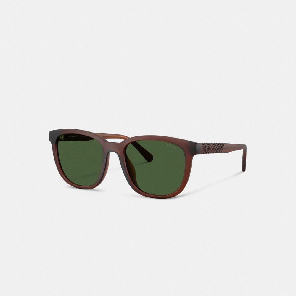 Coach Textured Square Sunglasses In Brown
