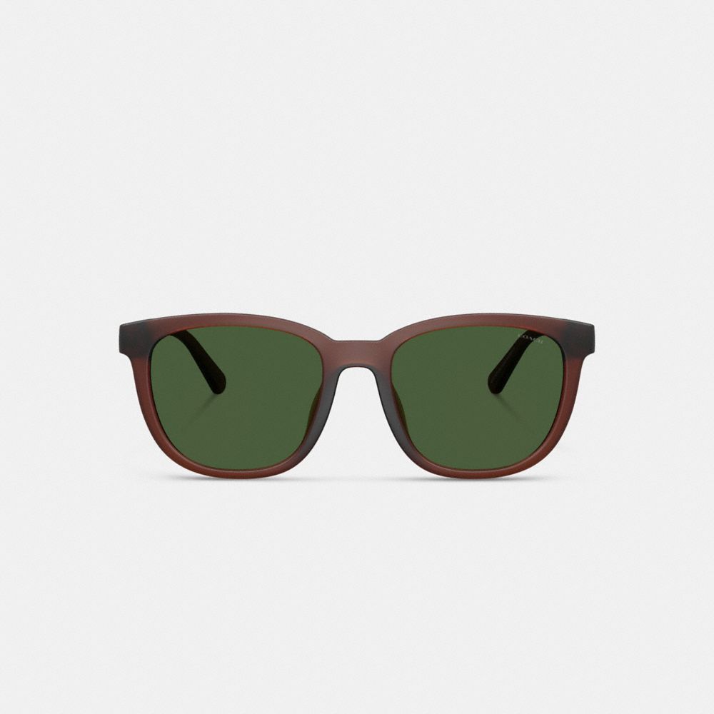 Coach Textured Square Sunglasses In Brown