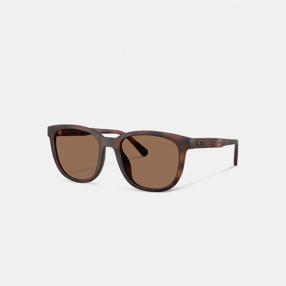 Coach Textured Square Sunglasses In Brown