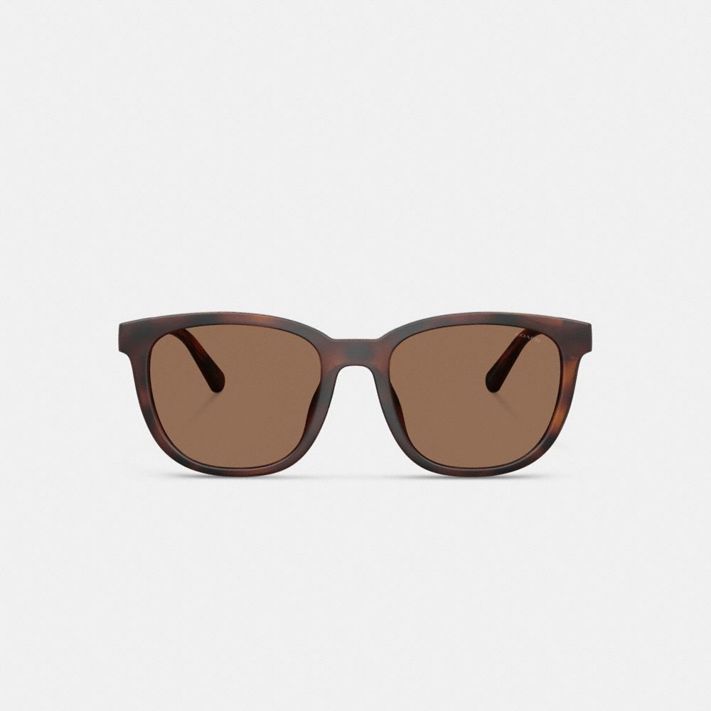 Coach Textured Square Sunglasses In Brown