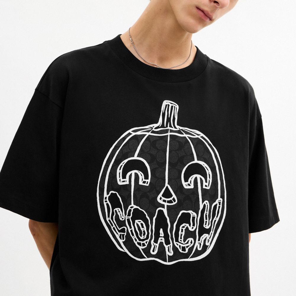 Pumpkin Relaxed T-Shirt Organic Cotton