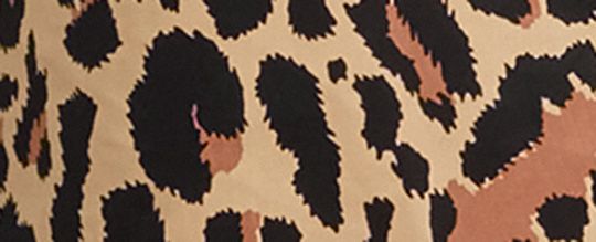 COACH®,Leopard Print Balmacaan,