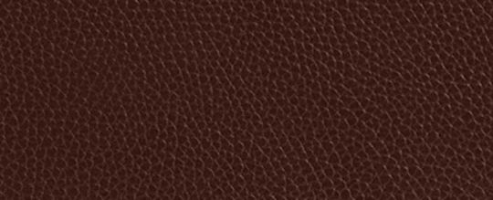 COACH®,Carlyle Brief Bag,Fabric,Leather,Briefcase,Convertible,Lined,Sustainable,Adjustable,Silver Metal,Work,Brown