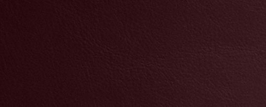 COACH®,Bleecker Bucket Bag,Leather,Bucket,Hobo,Adjustable,Removable Pouch,Brass,Casual,Maroon