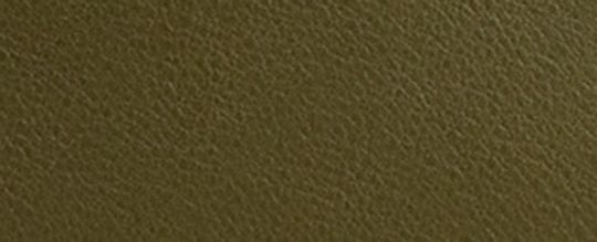 COACH&reg;,Empire Carryall Bag 34,Leather,Shoulder Bag,Embellished,Removable Pouch,Gusset,Expandable,Lined,Key Ring,Luggage Ta...,Olive