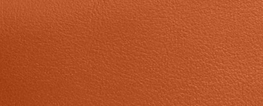 COACH&reg;,Waverly Bag,Leather,Shoulder Bag,Chain Detail,Adjustable,Lined,Compact,Gold Metal,Day Party,