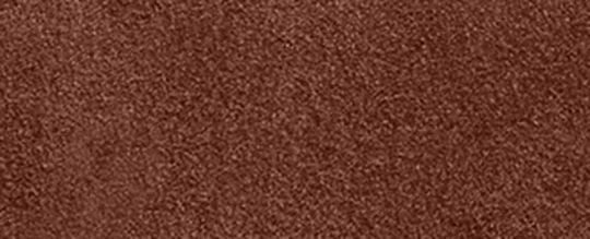 COACH®,Teri Mini Crossbody Bag,Brown