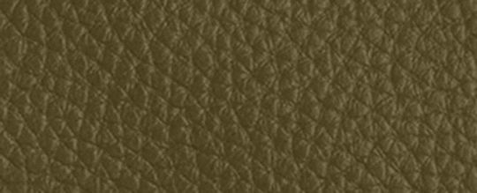 COACH®,Emory Top Handle Bag,Olive