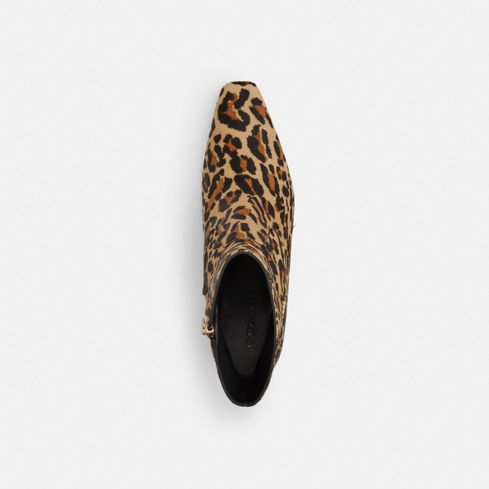 COACH®,Kitten Heel Bootie With Leopard Print,Faux Leather,Calf Hair,Rubber,Bootie,Pull Tab,Day Party,Multi Color,Inside View,Top View