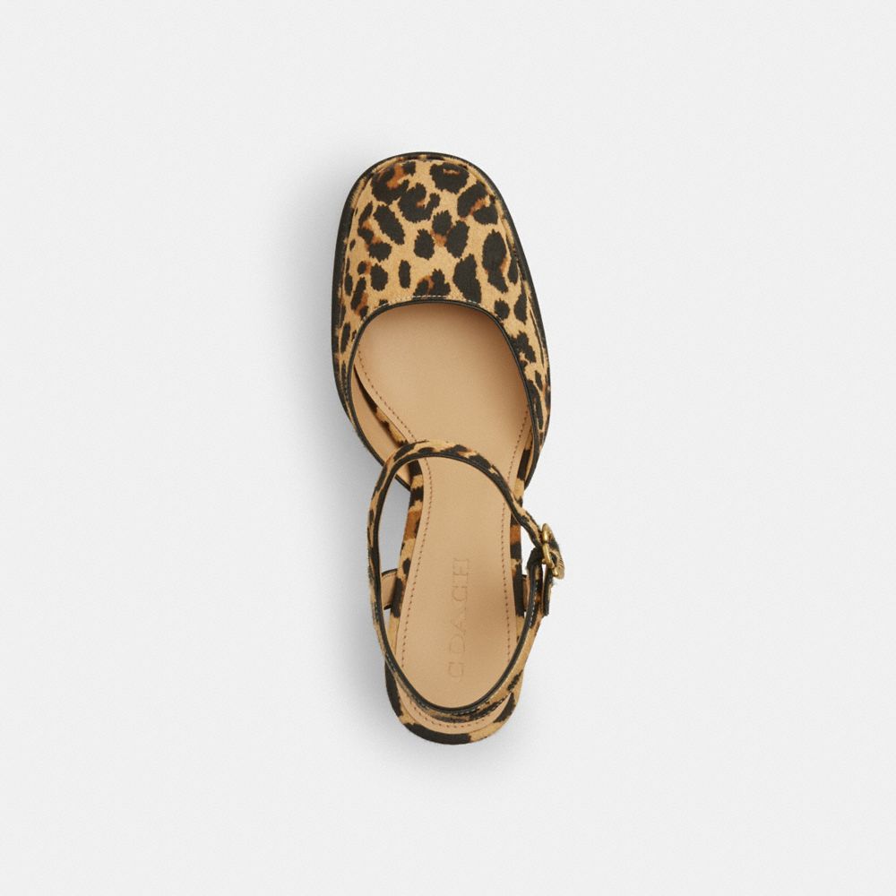 Coach Tea Rose Pump With Leopard Print In Animal Print