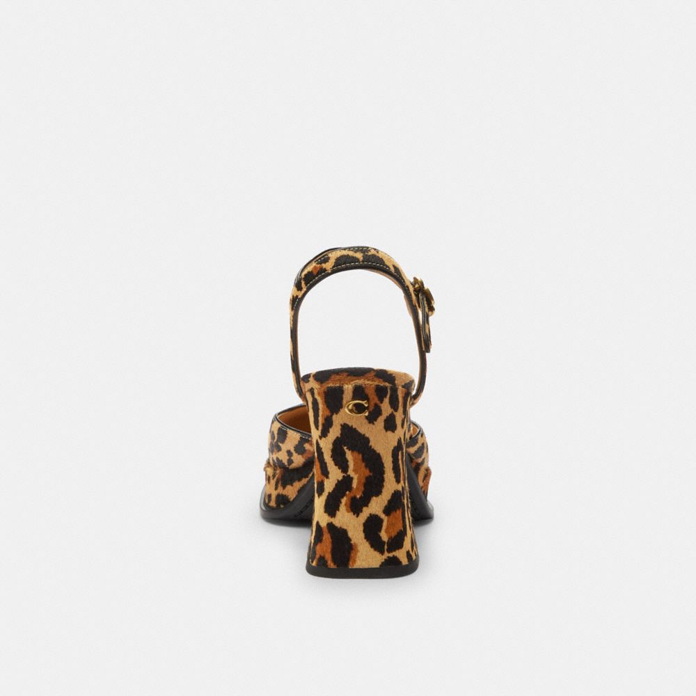 Coach Tea Rose Pump With Leopard Print In Animal Print