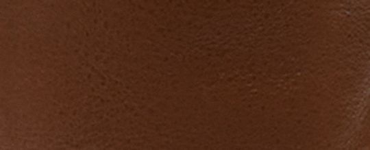 COACH®,Tall Boot,Brown