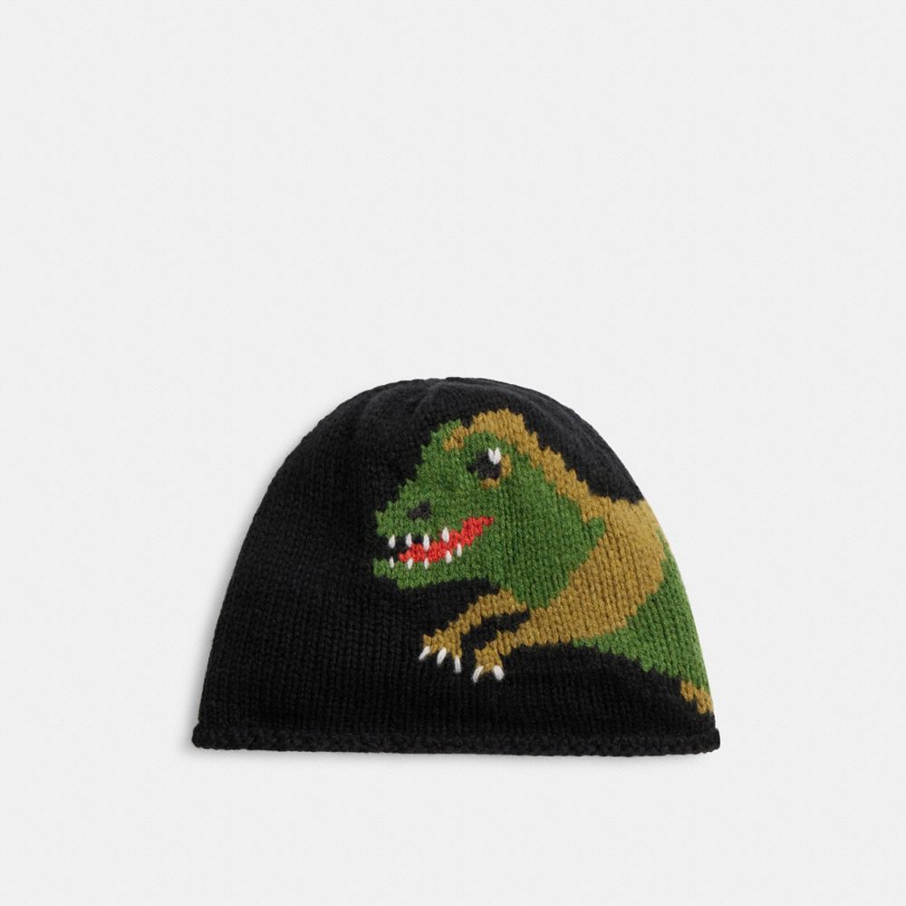 Coach Jumbo Rexy Print Knit Beanie In Multi