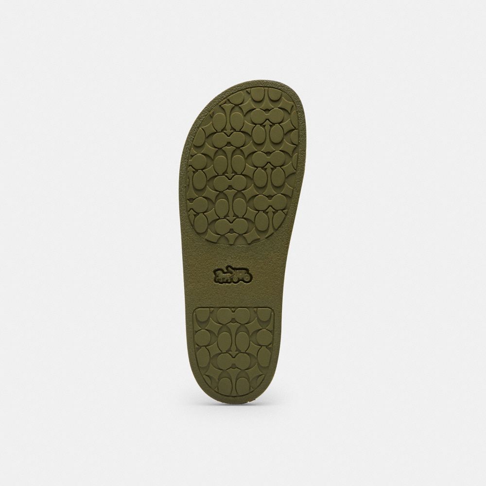 Coach Udele Sport Slide In Signature Canvas In Green