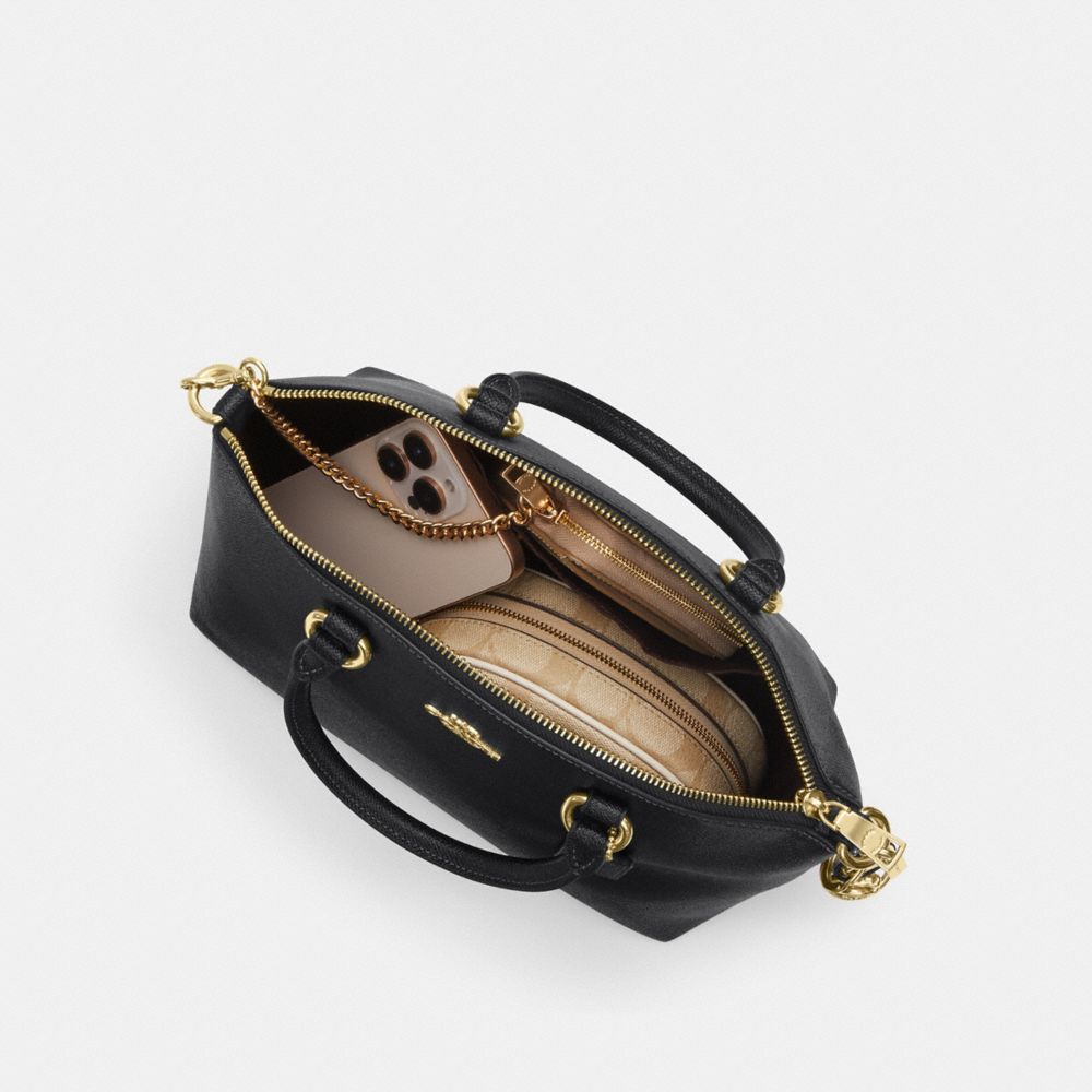 COACH®,Sadie Satchel Bag,,Inside View,Top View