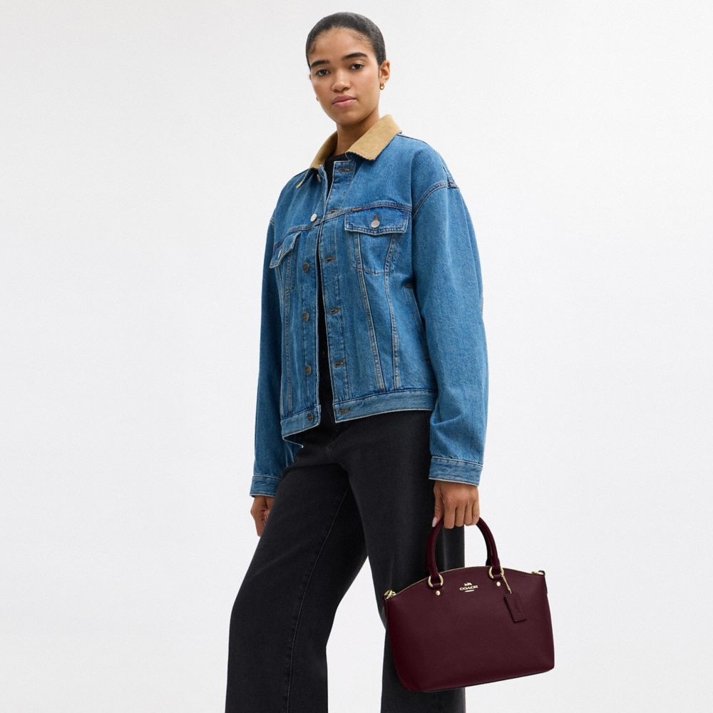 COACH®,Sadie Satchel Bag,Maroon,Detail View