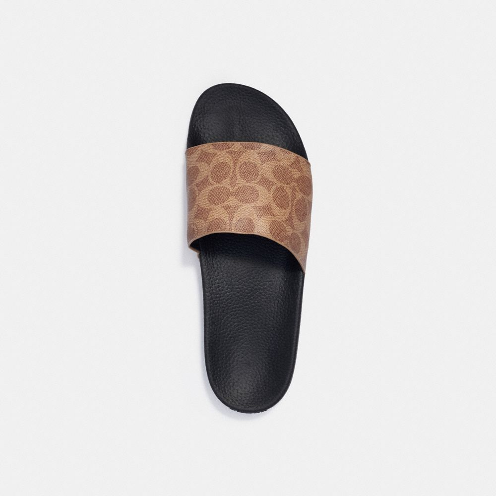Coach Pool Slide In Signature Canvas In Black