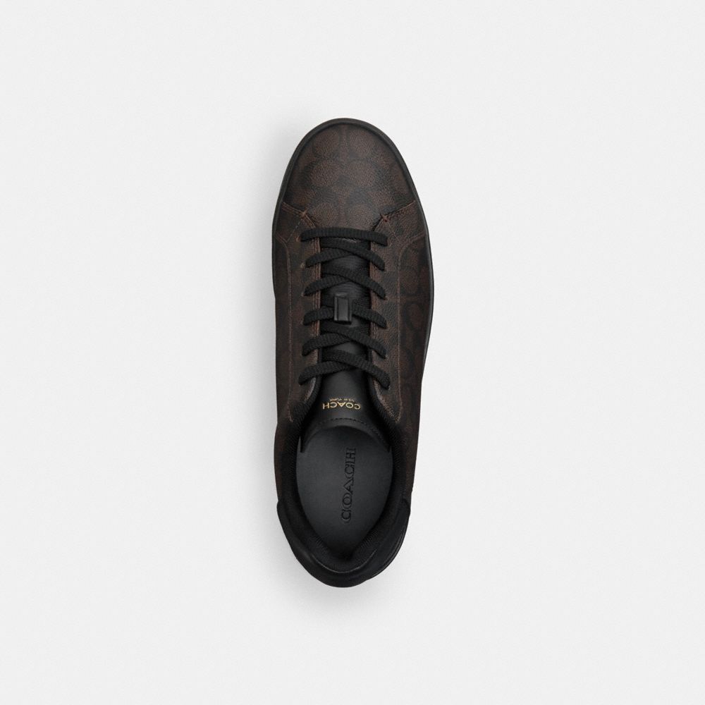 Coach High Line Sneaker In Signature Canvas In Black