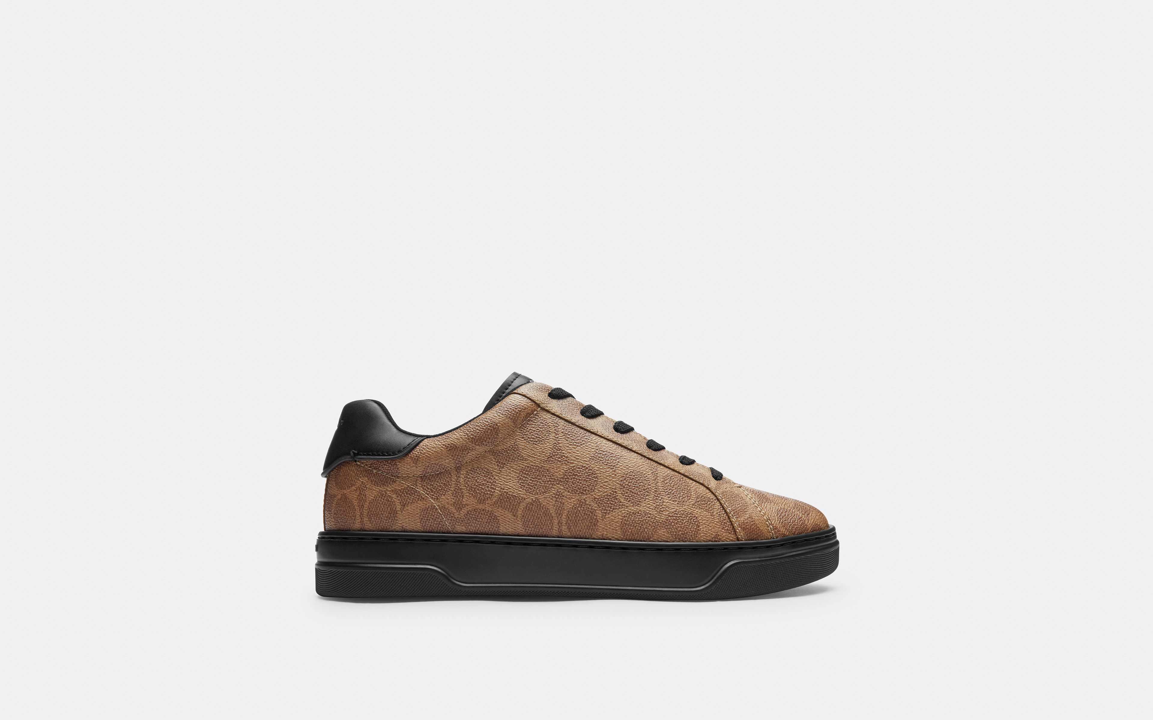 High Line Sneaker Signature Canvas