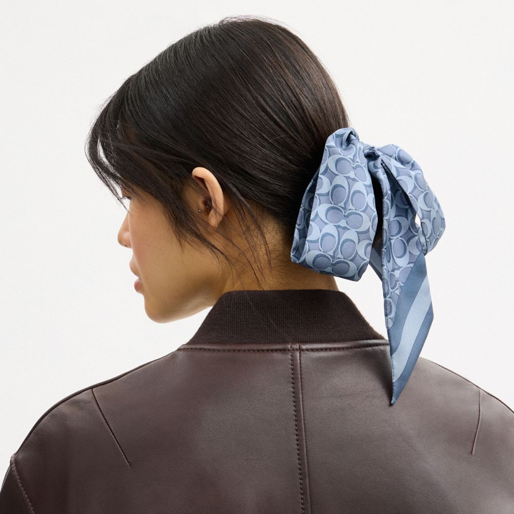 COACH®,Signature Silk Skinny Scarf,Silk,Satin,Neck Gaiter,Logo,Pattern,Casual,Blue,Detail View