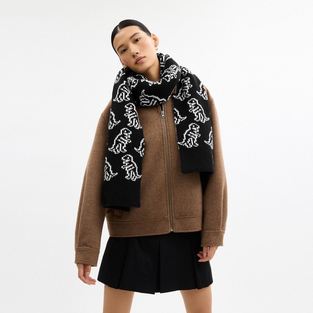 COACH®,Dino Print Knit Muffler,Black,Detail View